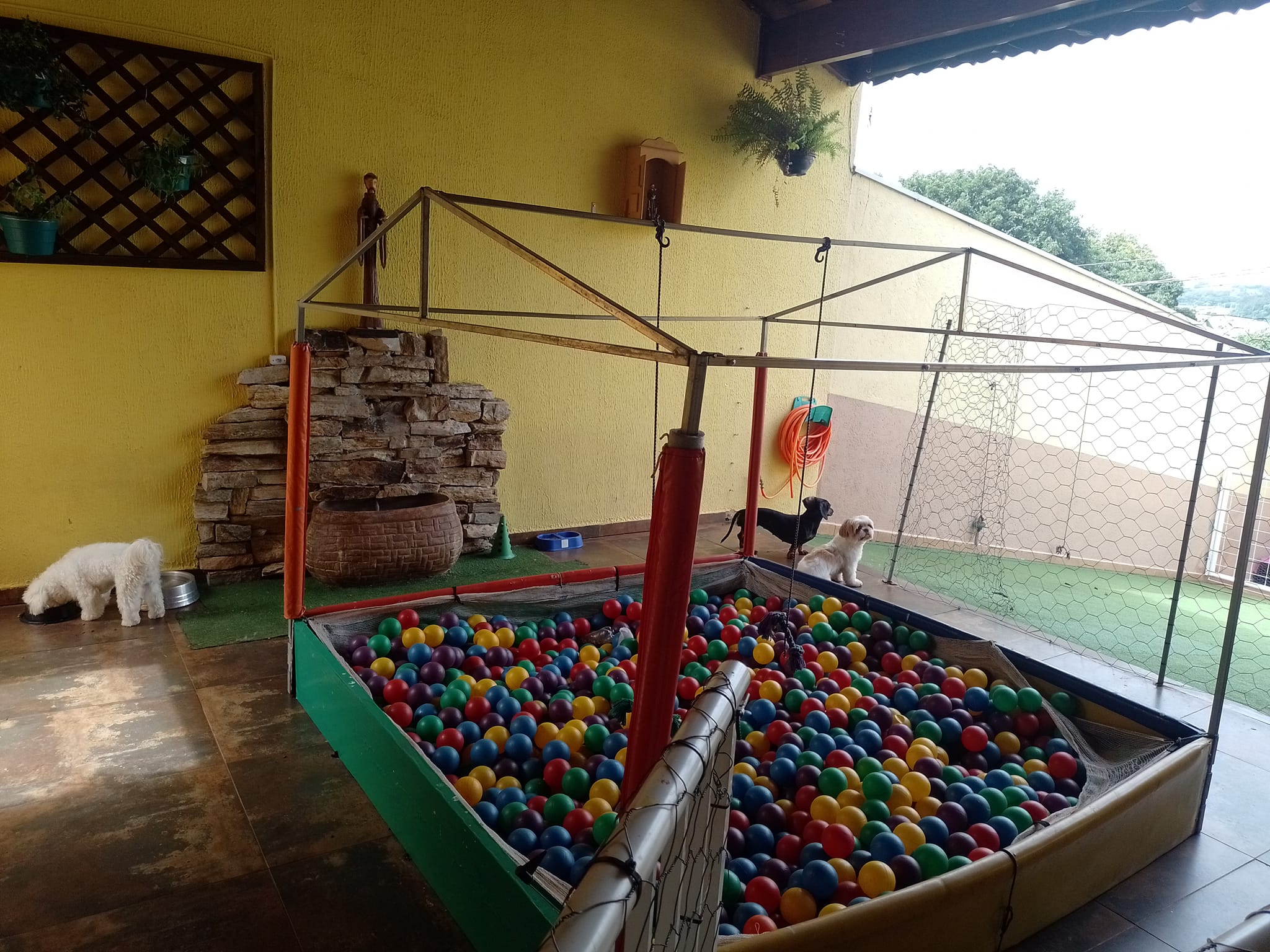 Estrutura 1